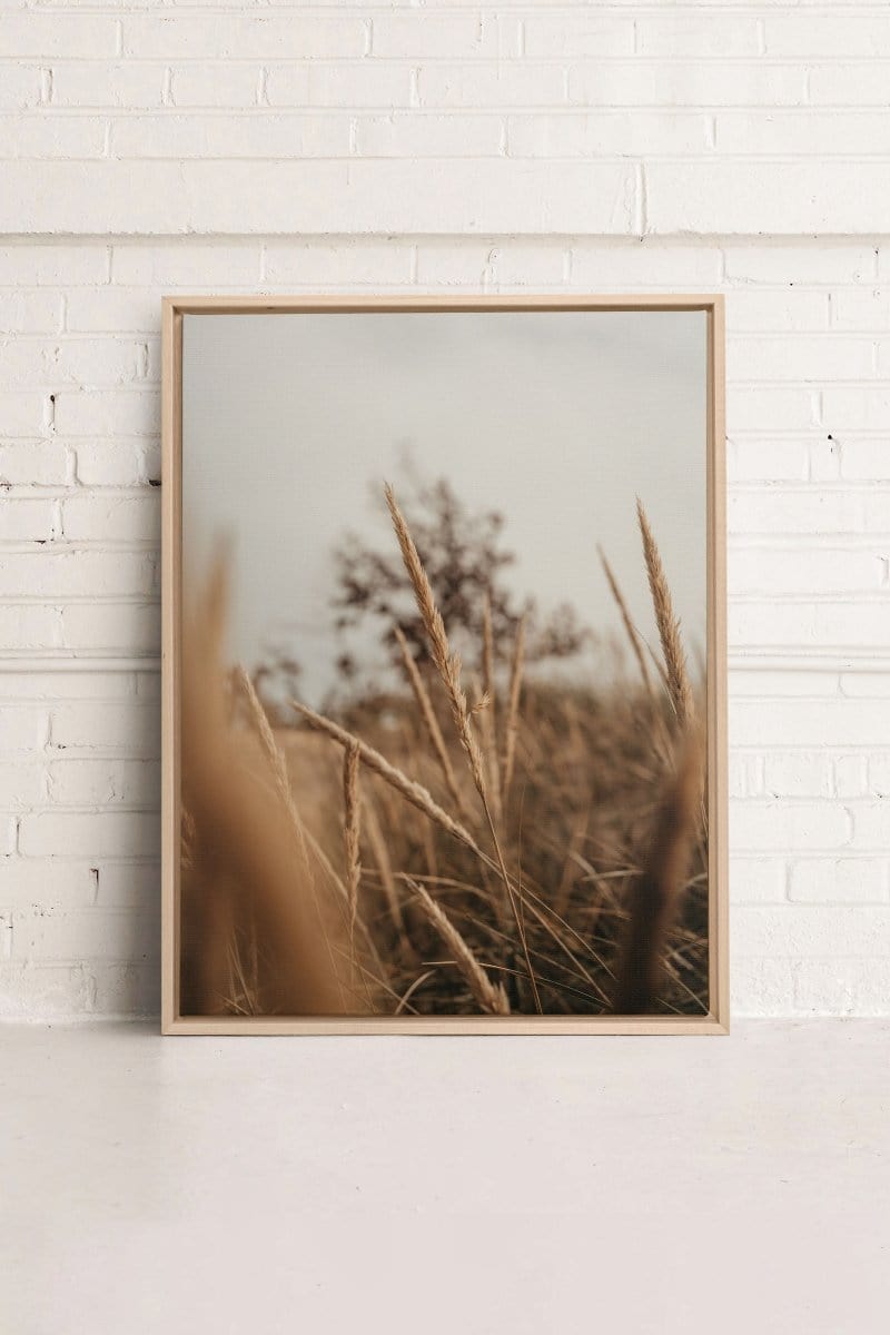 WHEAT, Oeuvre sur toile étirée