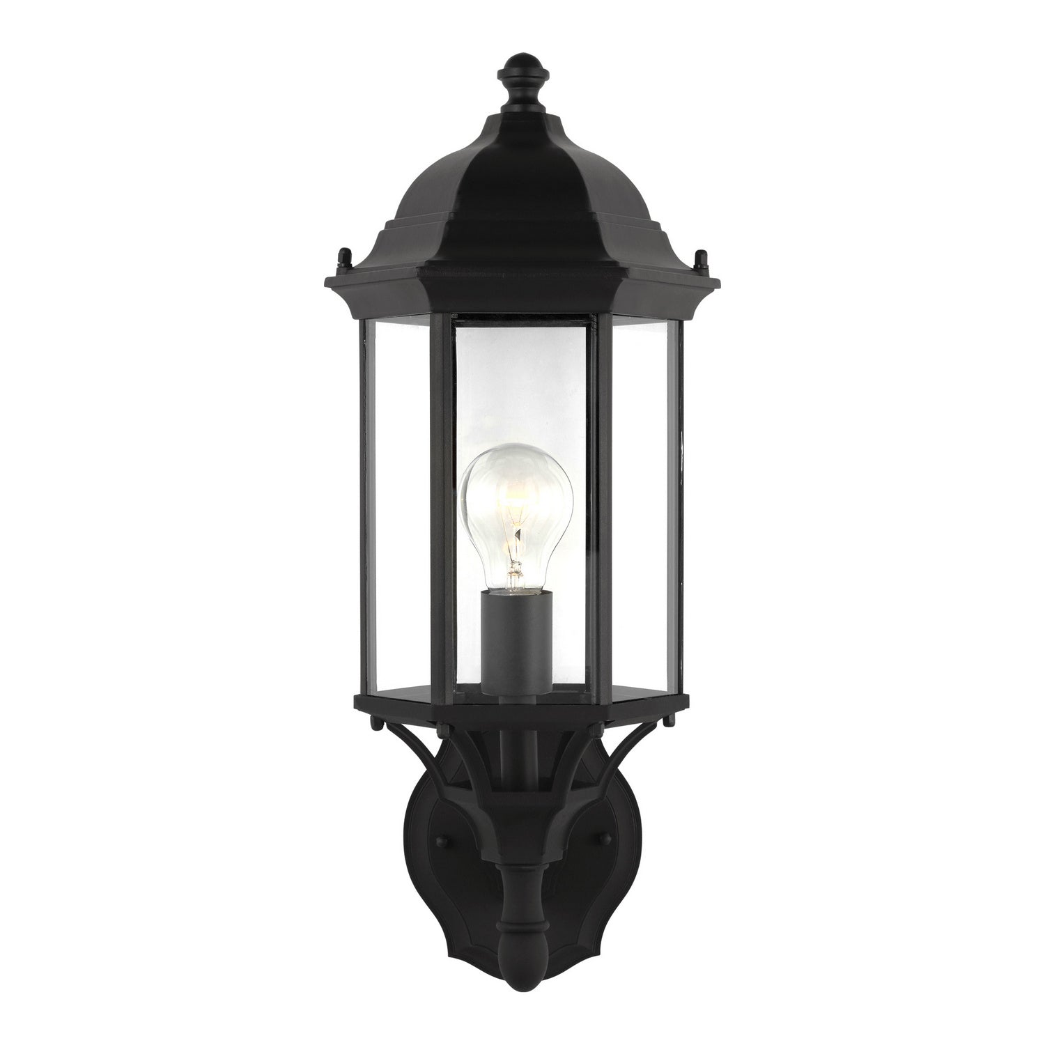 Lanterne murale extérieure 1 lumière | Sevier
