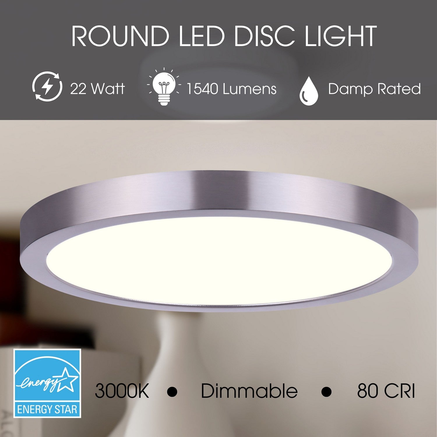 Plafonnier disque DEL | Led Disk Light