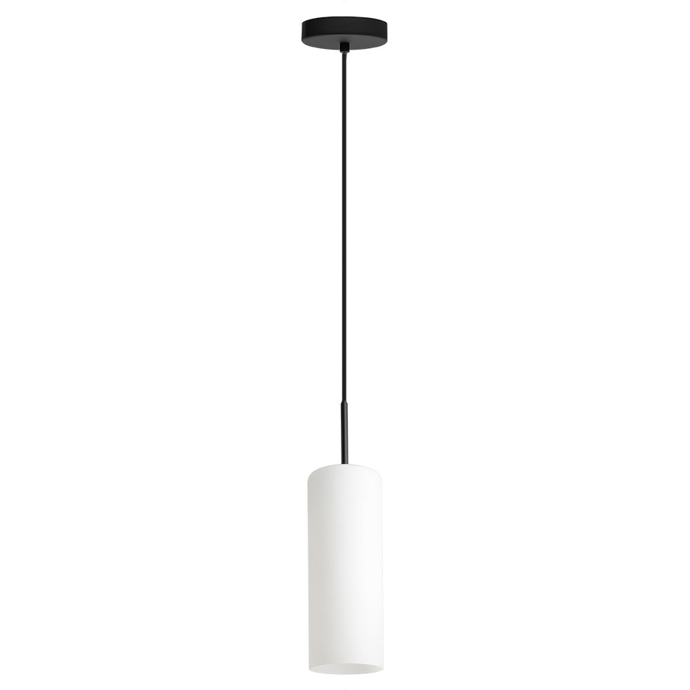 Suspension 1 lumière | Troy 3