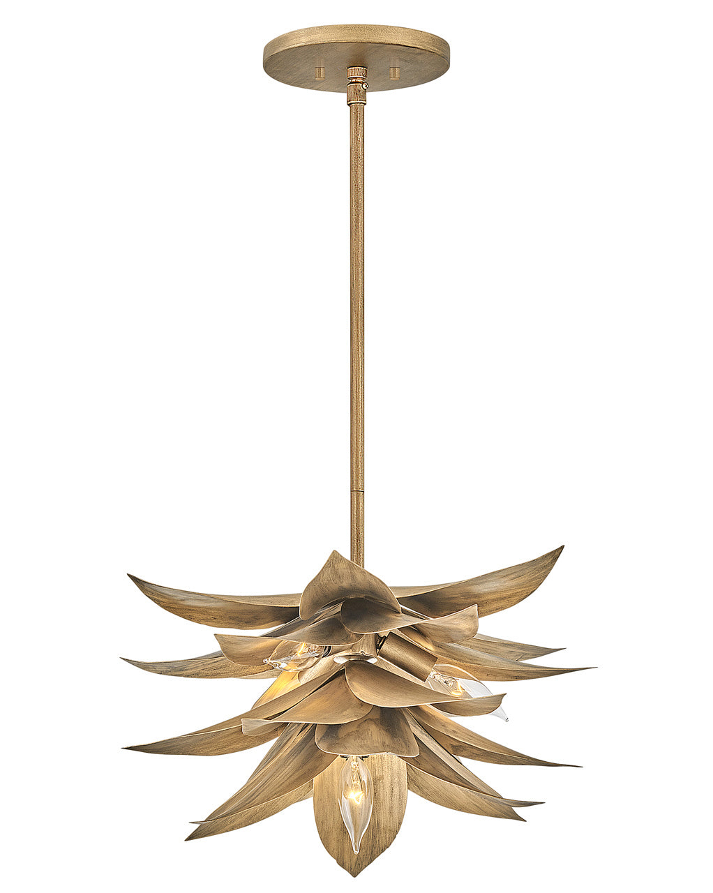 Suspension DEL | Agave