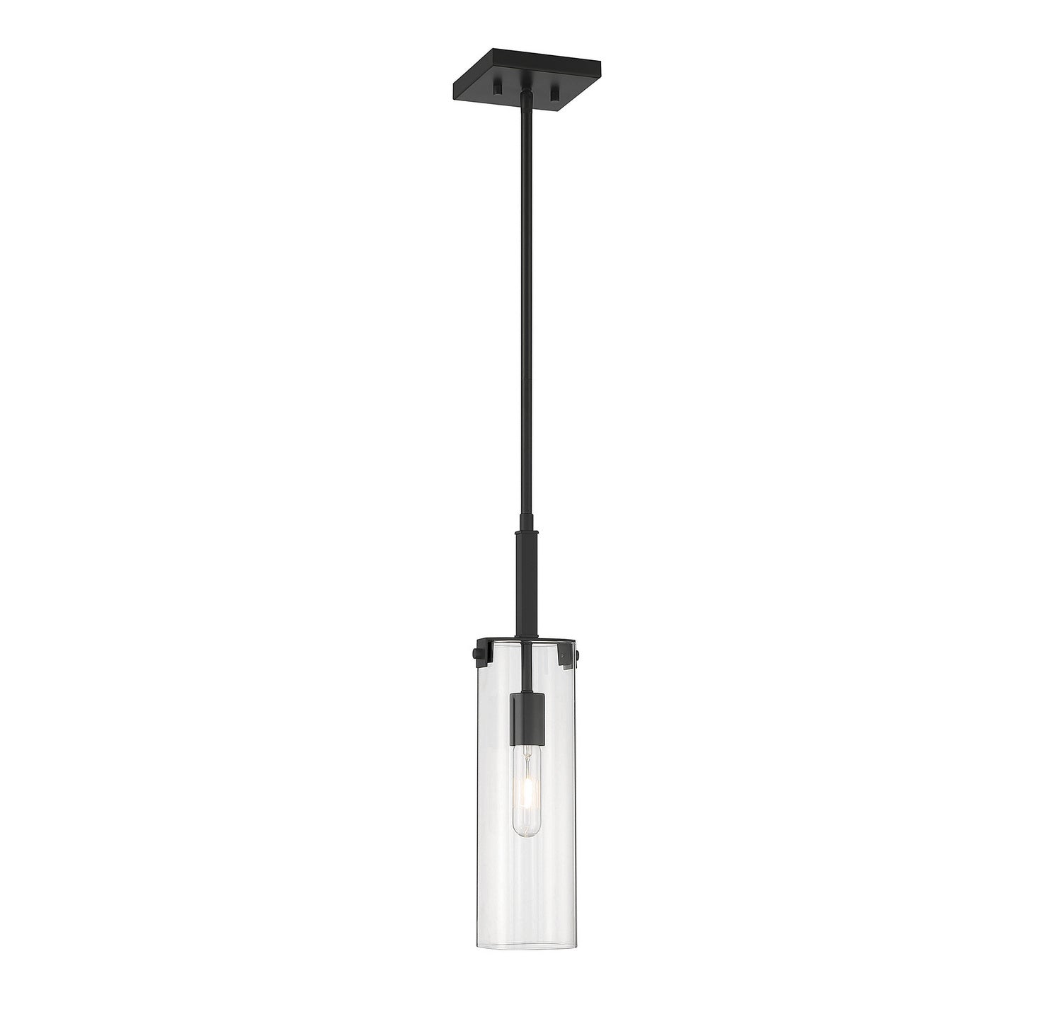Mini-Pendant 1 lumière | Winfield