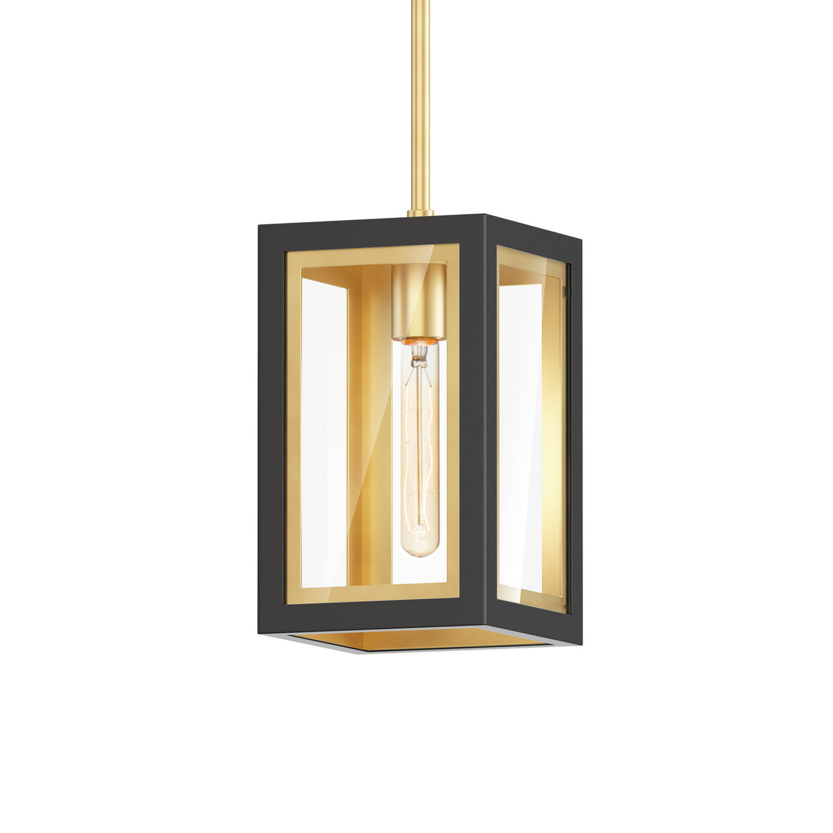 Maxim - Suspension extérieure 1 lumière | Neoclass - 30051CLBKGLD