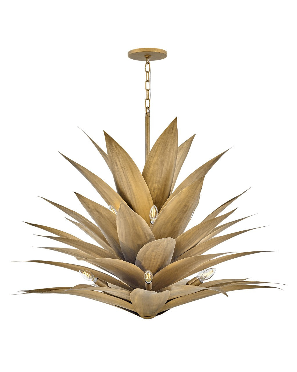 Suspension DEL | Agave