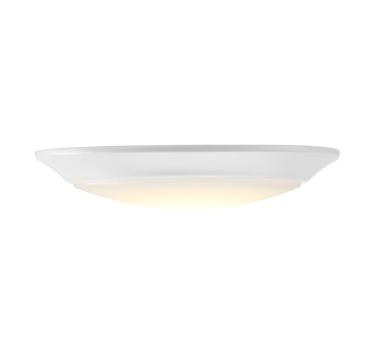 Plafonnier disque DEL | Builder Specialty