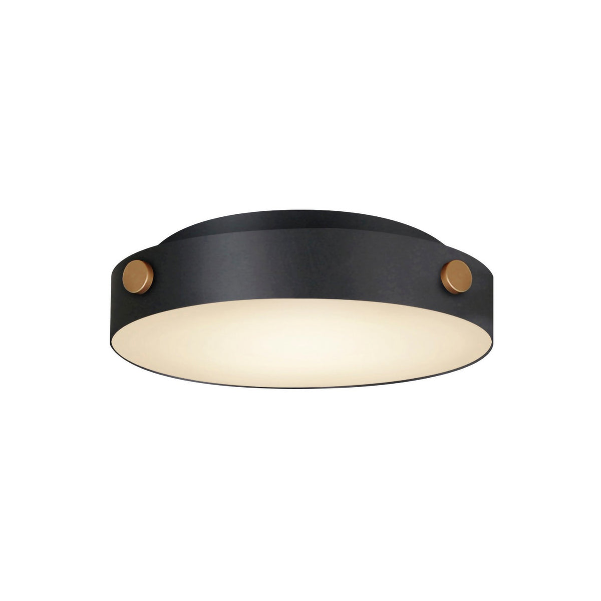 Plafonnier DEL | Rivet