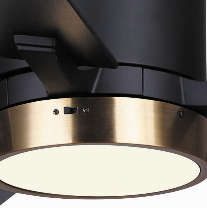 Ventilateur de plafond 52 po | Quinn
