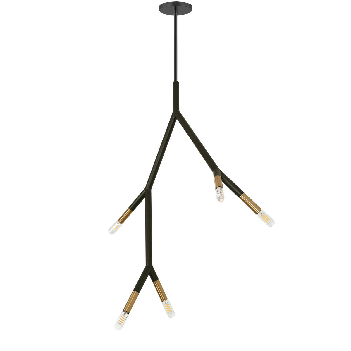 Suspension 5 lumières | Morgan