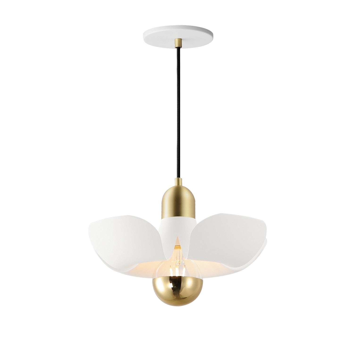Suspension DEL | Poppy