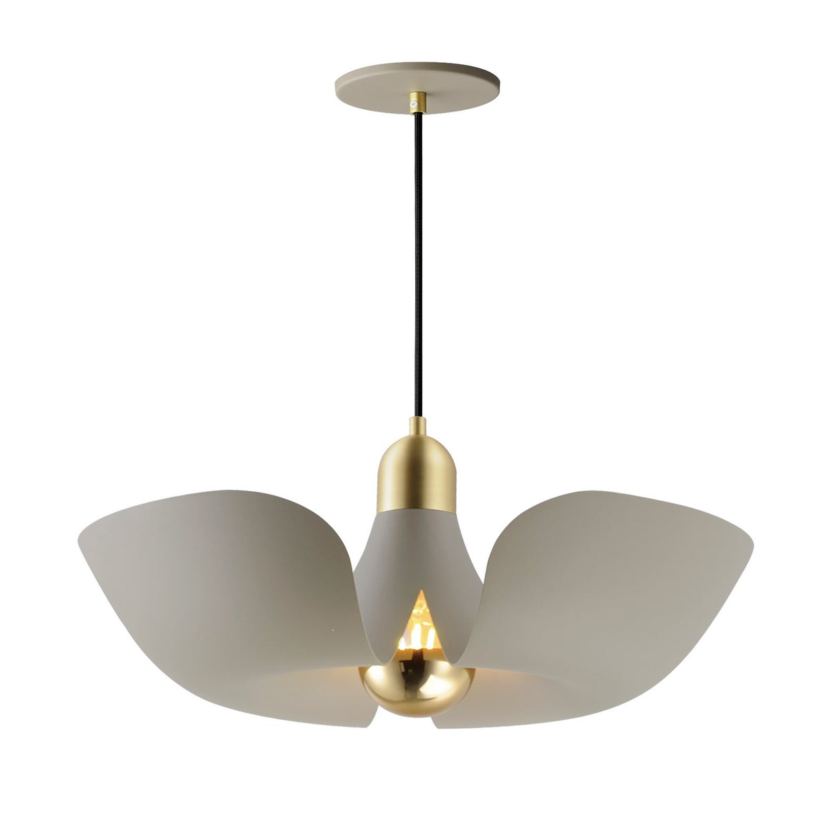 Suspension DEL | Poppy
