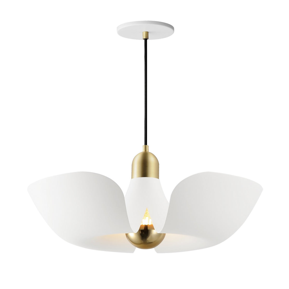 Suspension DEL | Poppy