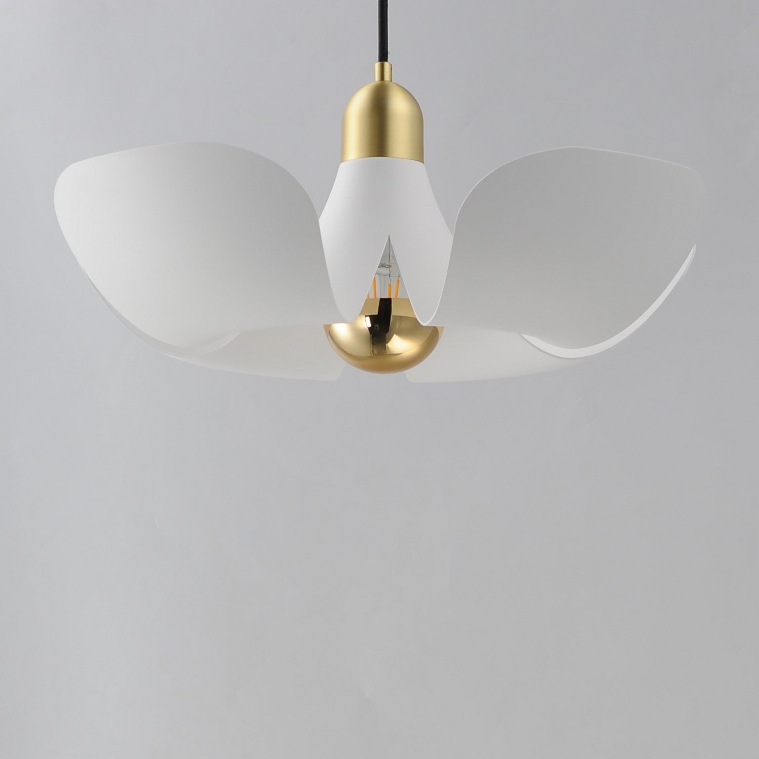 Suspension DEL | Poppy