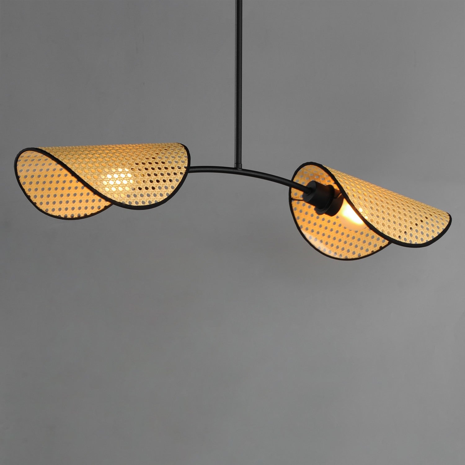 Lustre 2 lumières | Bonnet