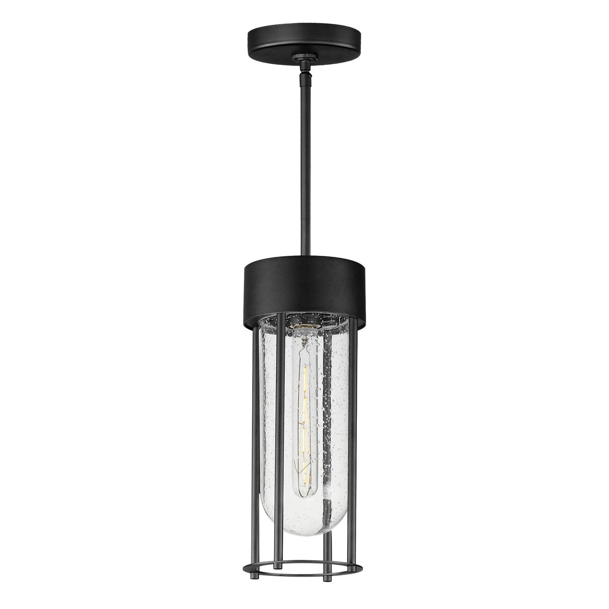 Maxim - Suspension extérieure 1 lumière | Millennial - 30587CDBK