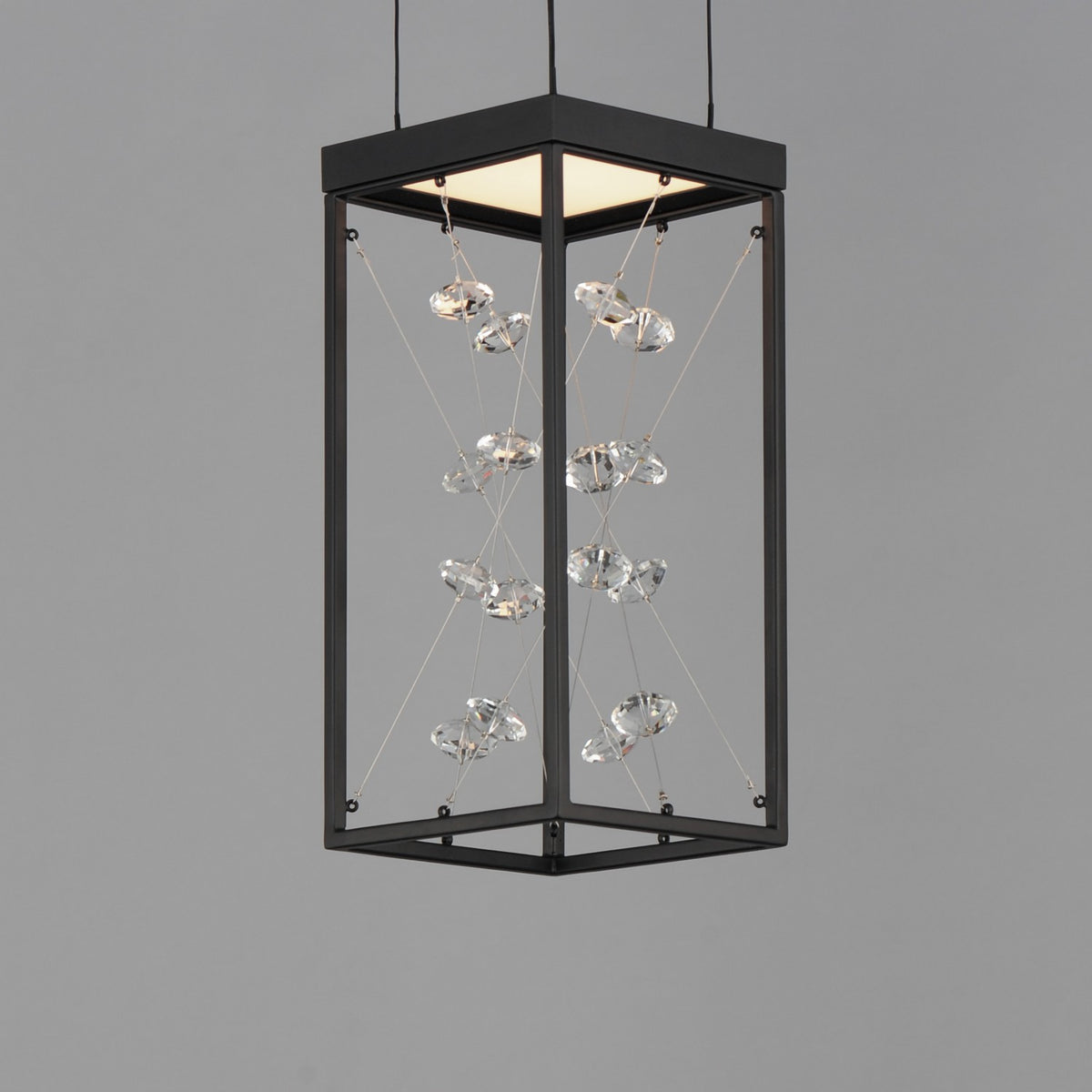 Suspension DEL | Entanglement