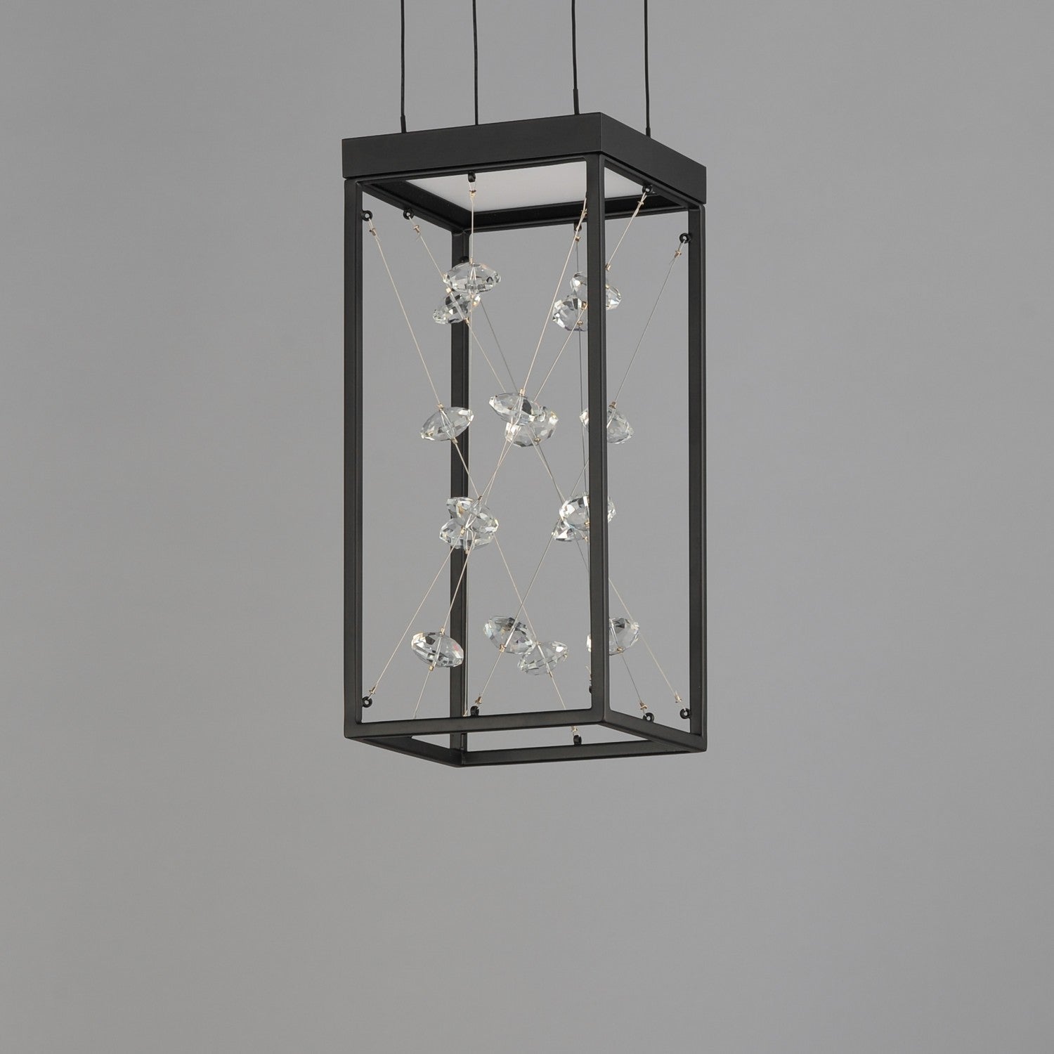 Suspension DEL | Entanglement