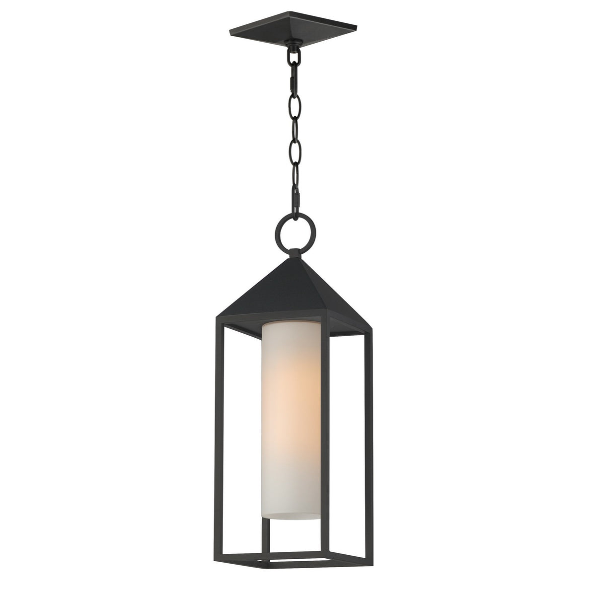 Maxim - Suspension extérieure 1 lumière | Aldous - 30079SWBK
