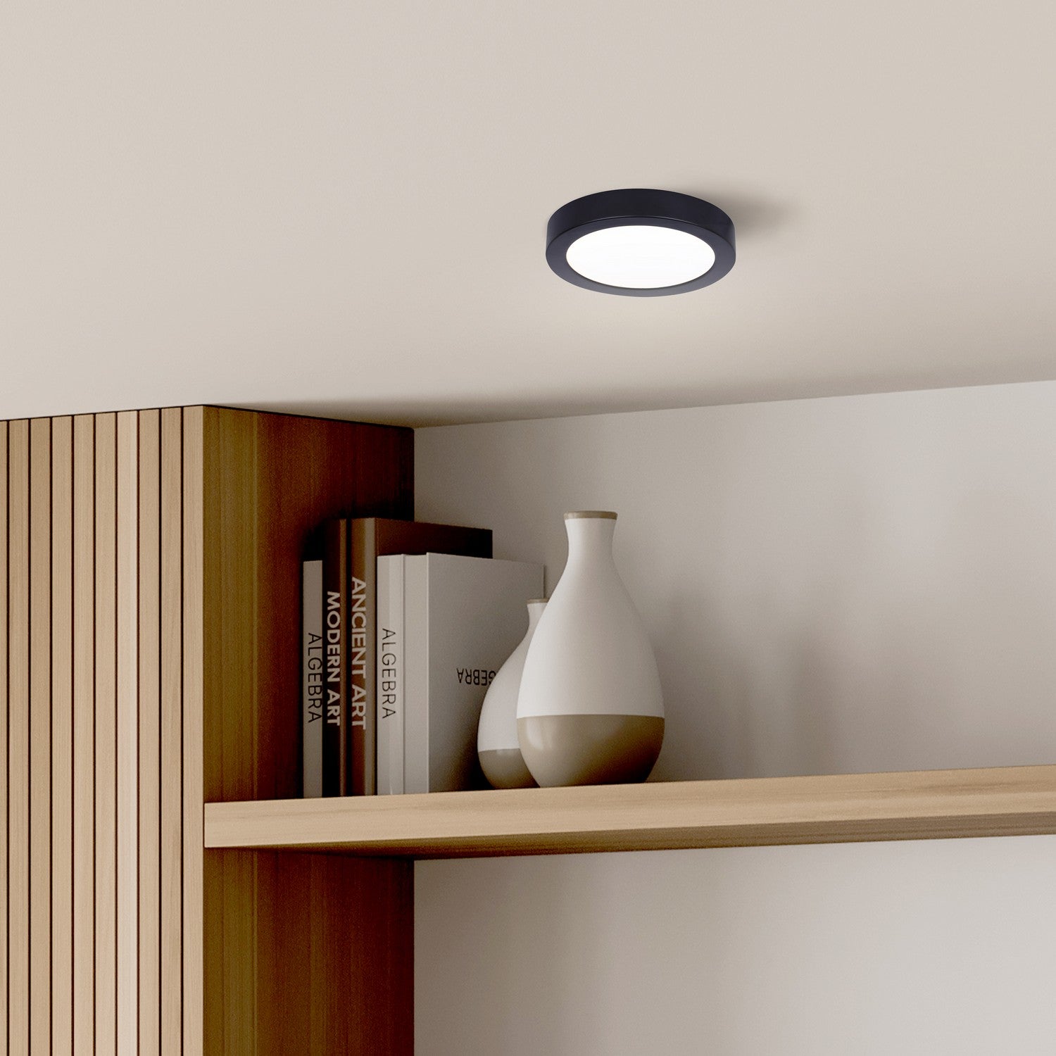 Plafonnier disque DEL | Led Disk Light