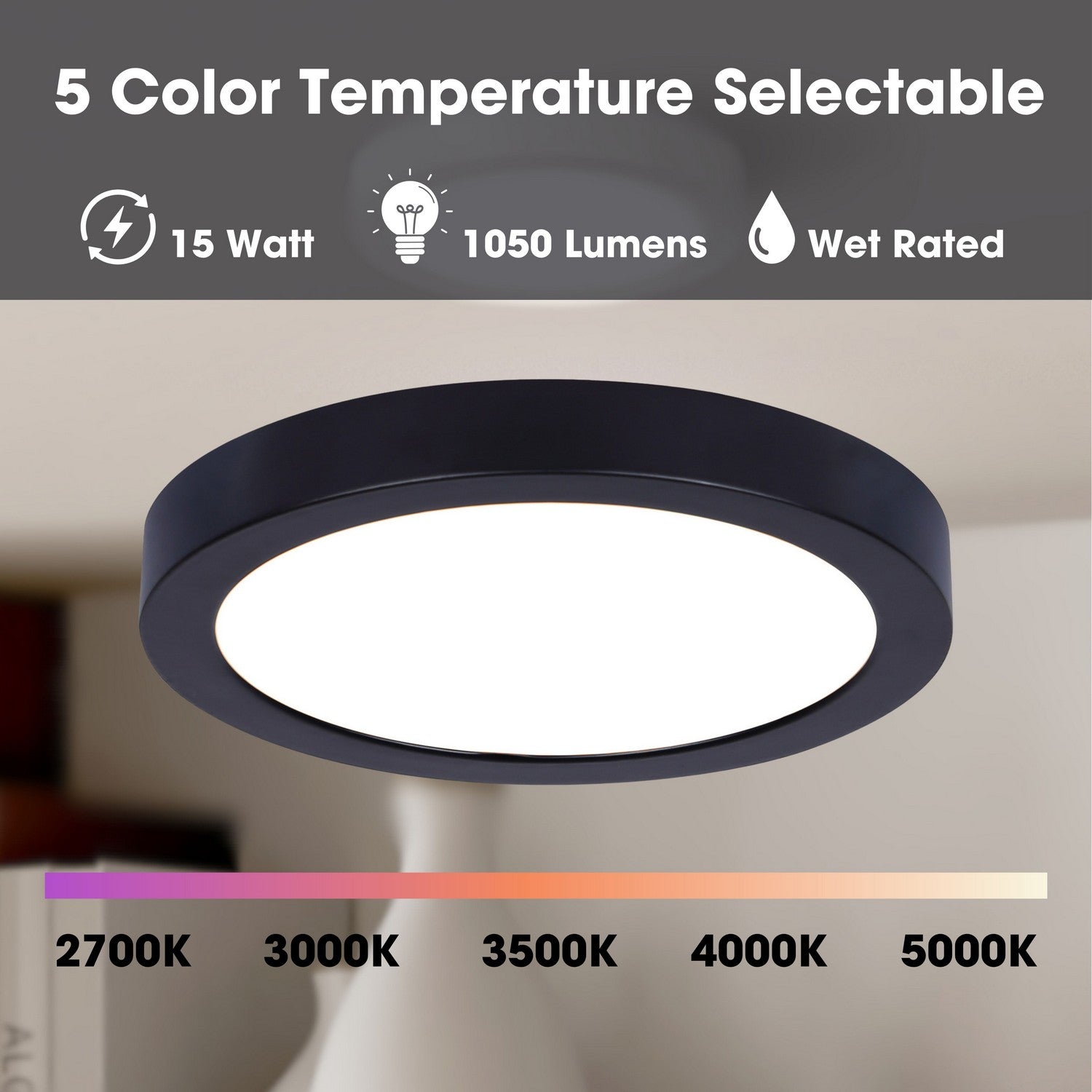 Plafonnier disque DEL | Led Disk Light