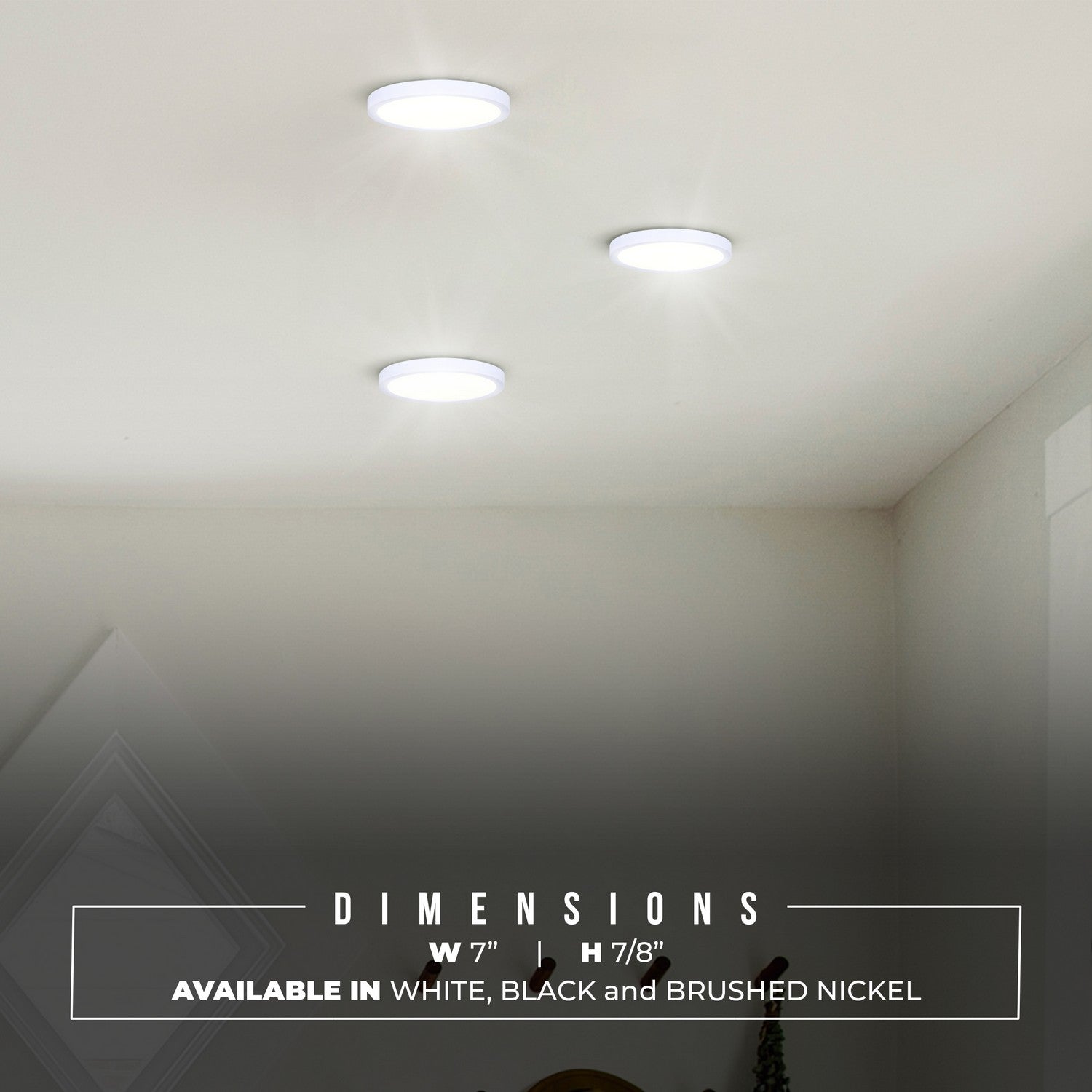 Plafonnier disque DEL | Led Disk Light