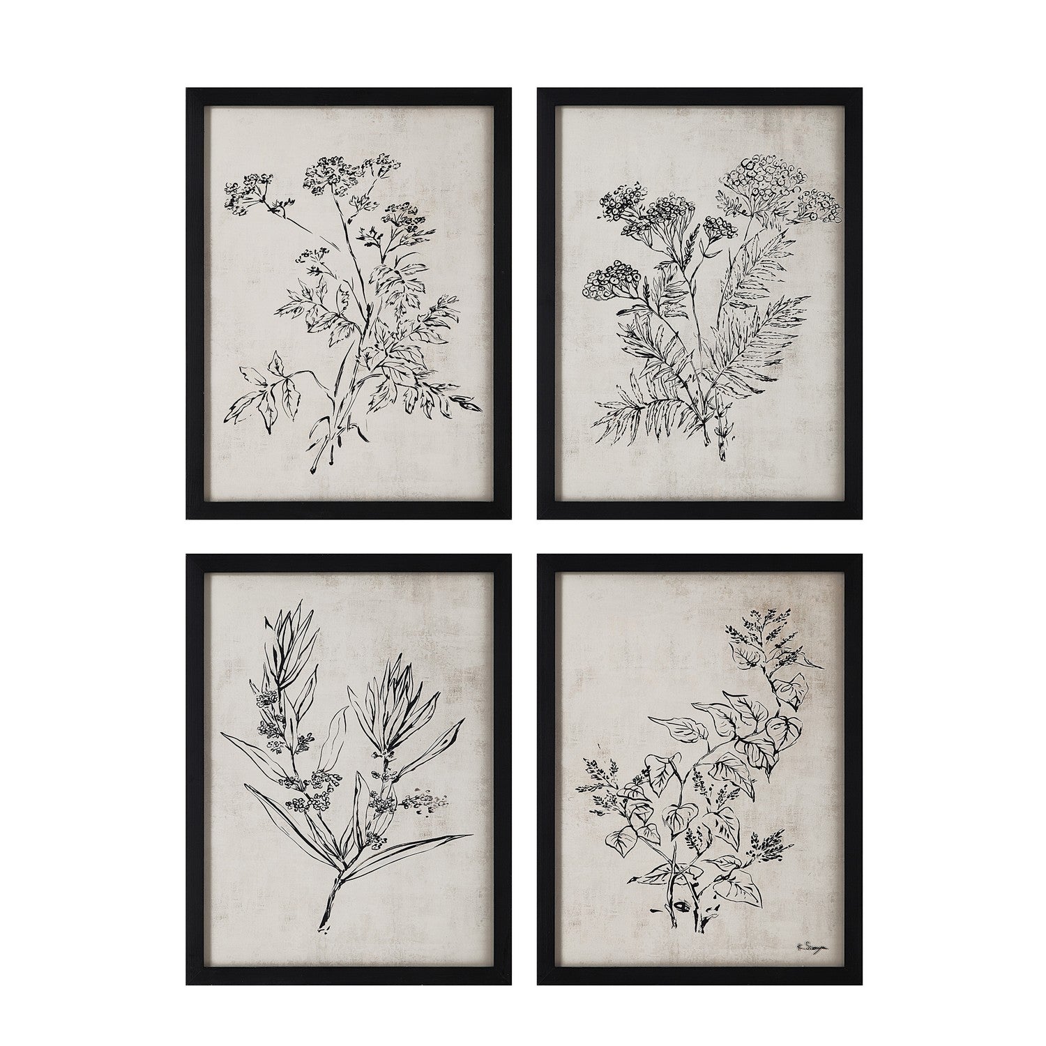 Toile | Basset