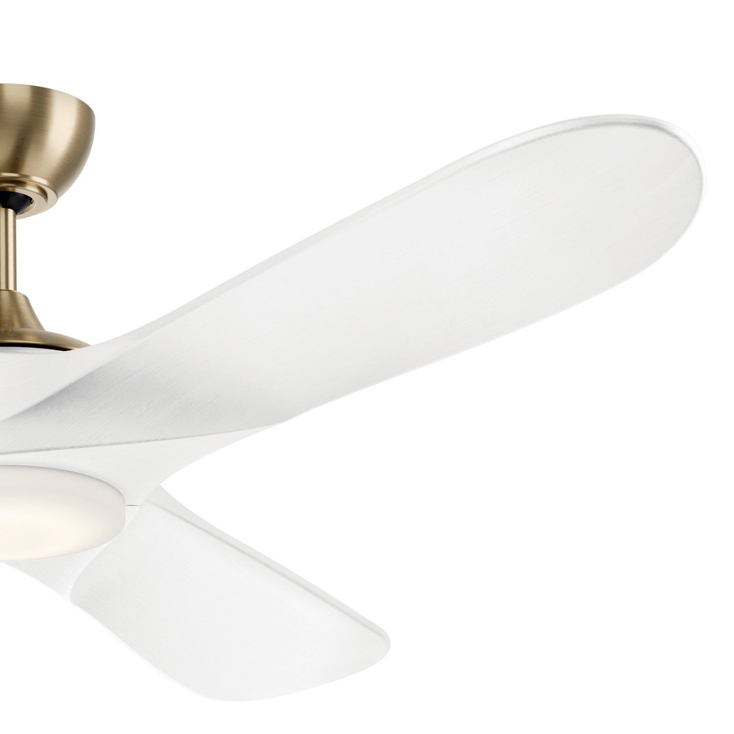 Ventilateur de plafond 60 po | Mylo