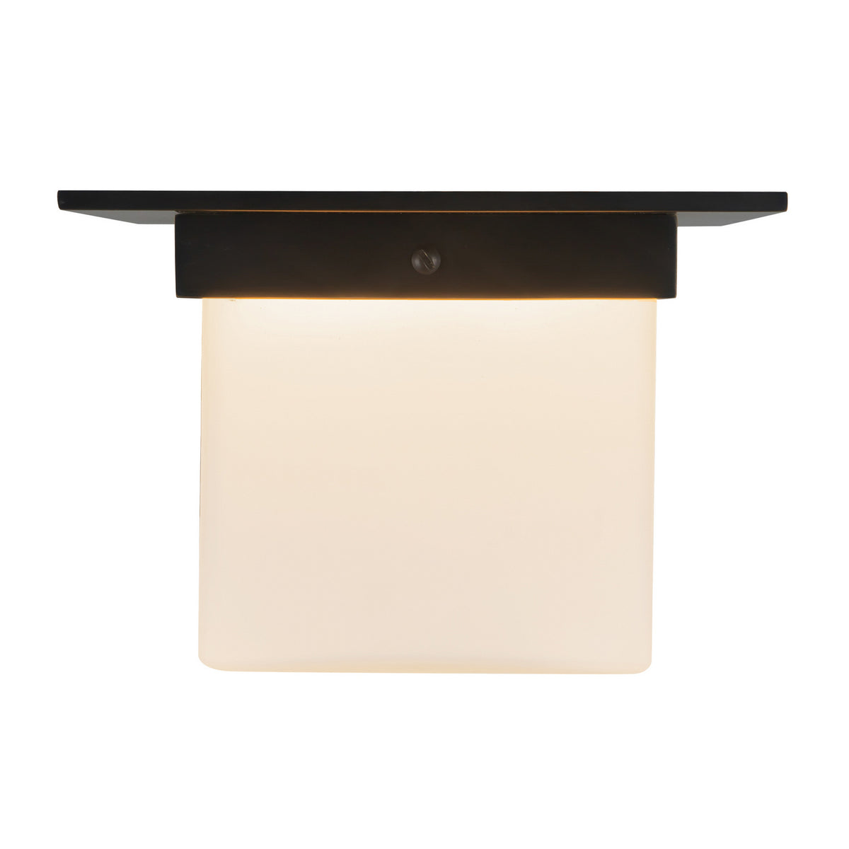 Plafonnier 1 lumière | Mineral