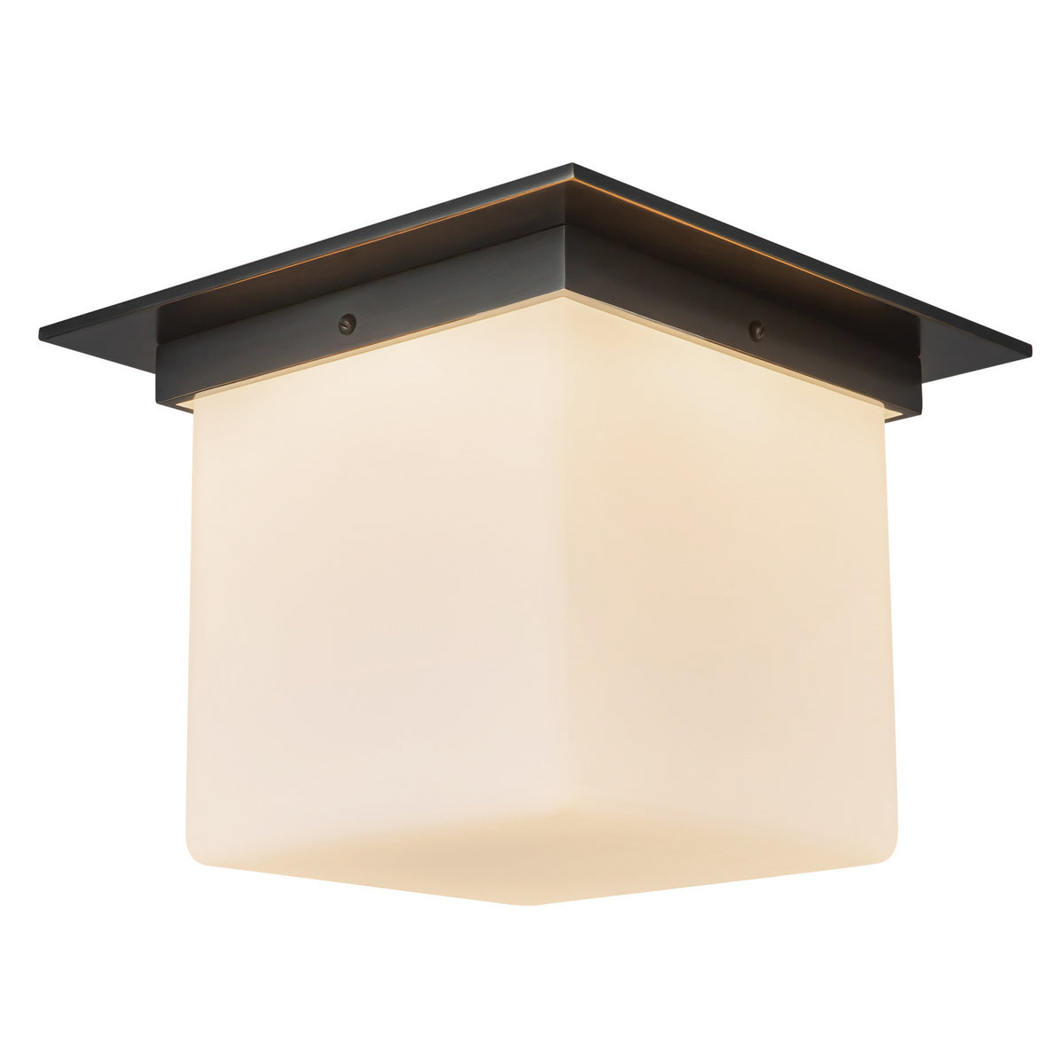 Plafonnier 1 lumière | Mineral