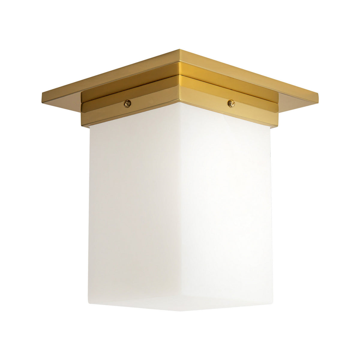 Plafonnier 1 lumière | Mineral