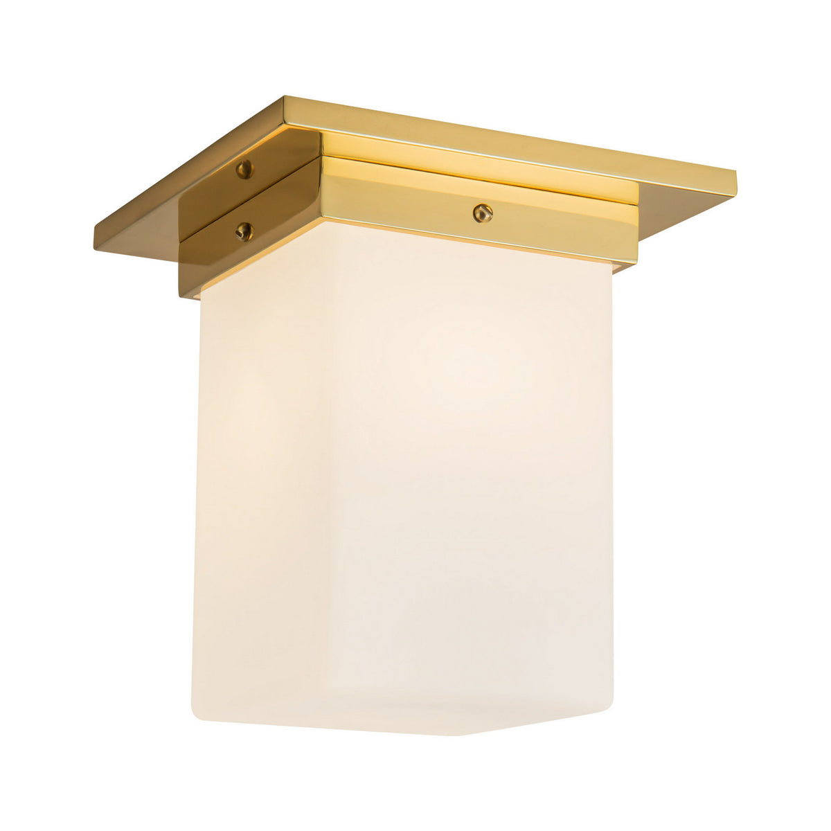 Plafonnier 1 lumière | Mineral