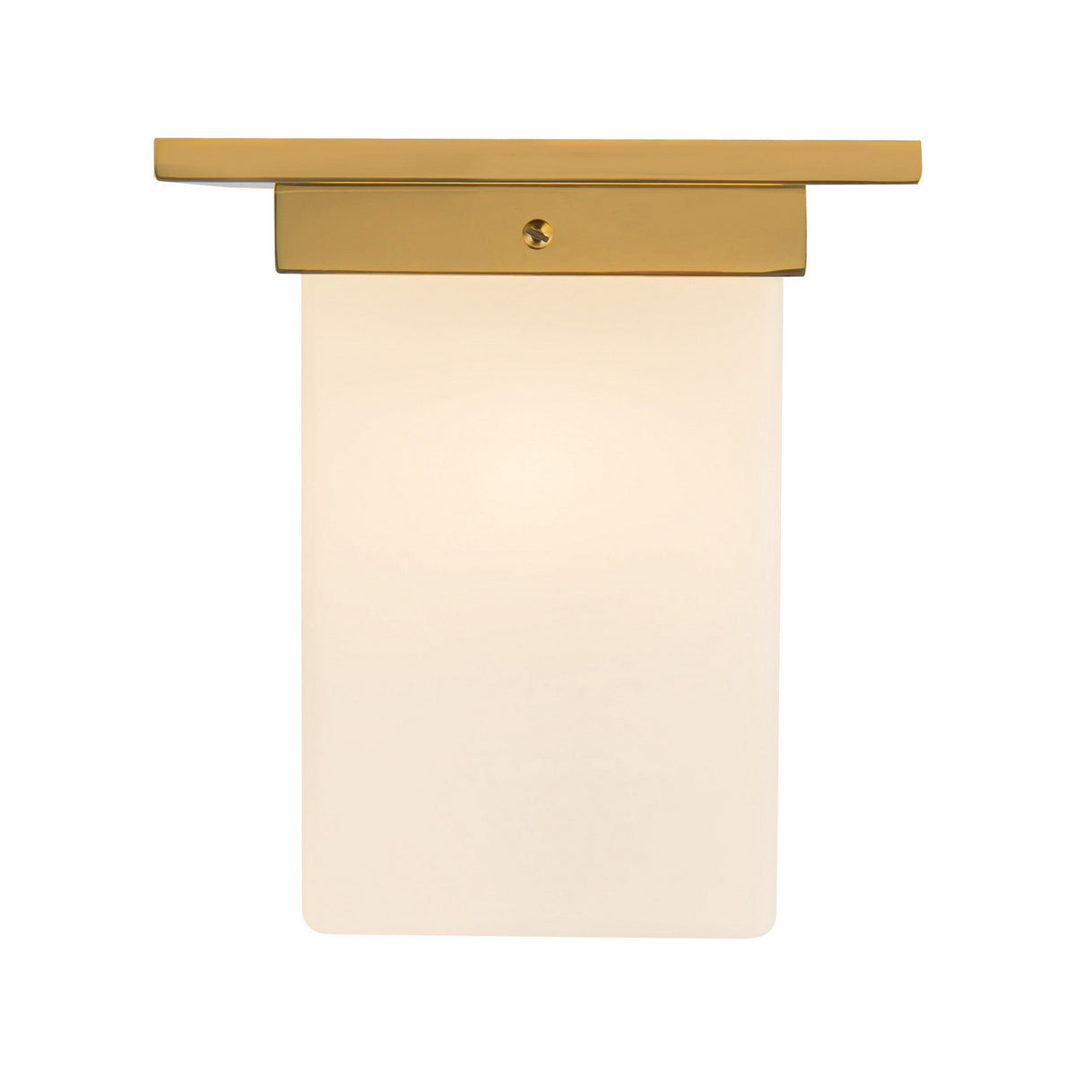 Plafonnier 1 lumière | Mineral