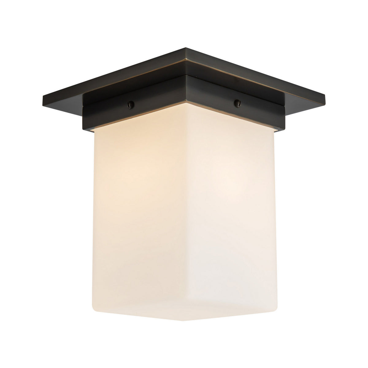 Plafonnier 1 lumière | Mineral