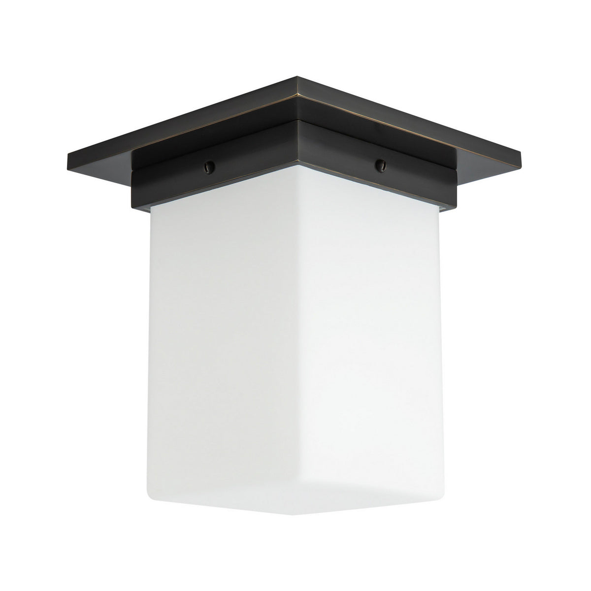 Plafonnier 1 lumière | Mineral