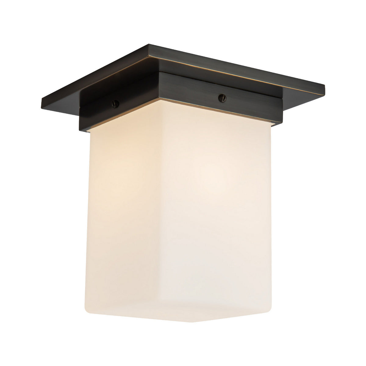 Plafonnier 1 lumière | Mineral