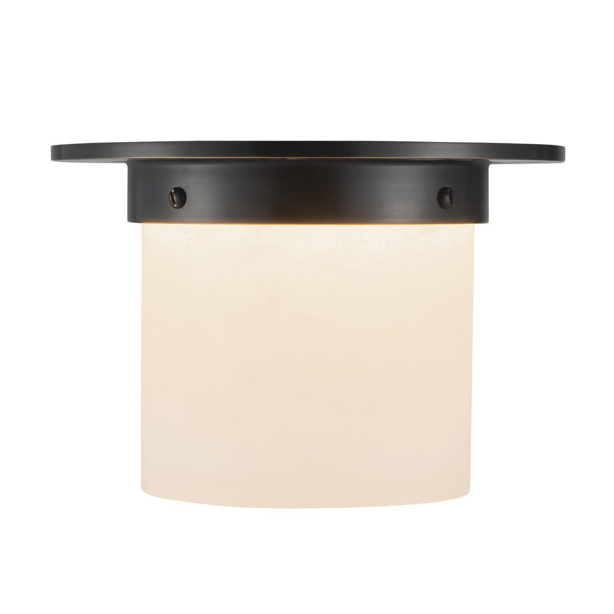 Plafonnier 1 lumière | Mineral