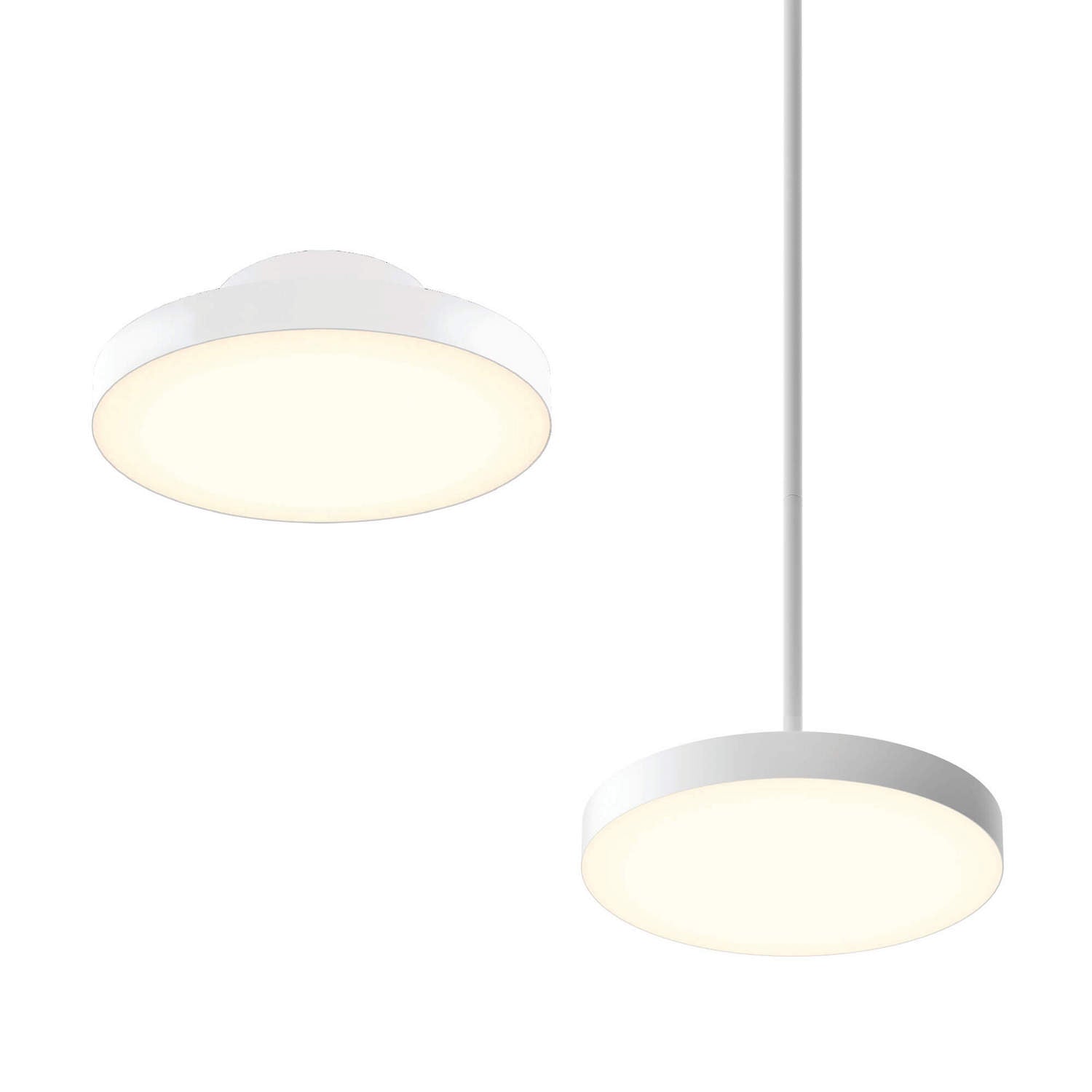 Suspension | Fusion