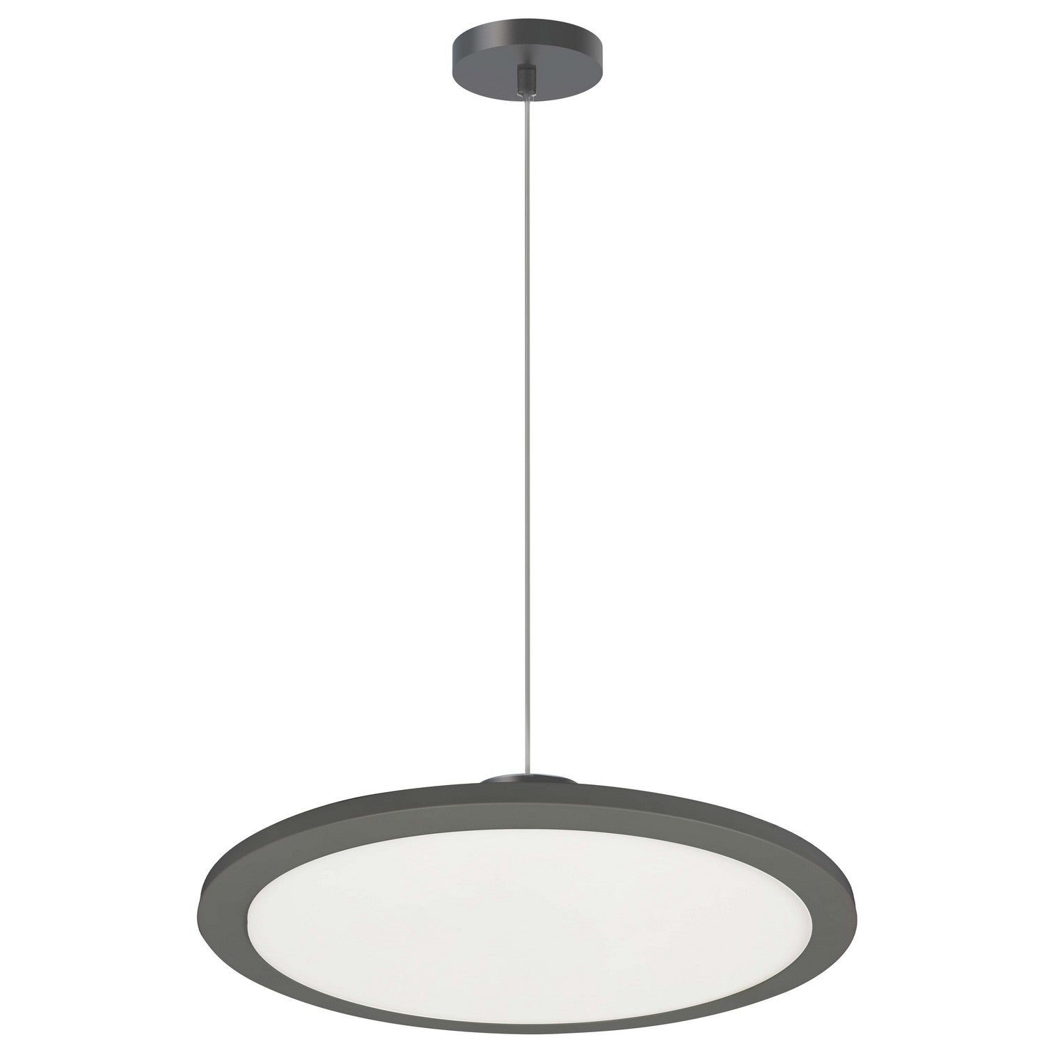 Suspension DEL | Franchesa