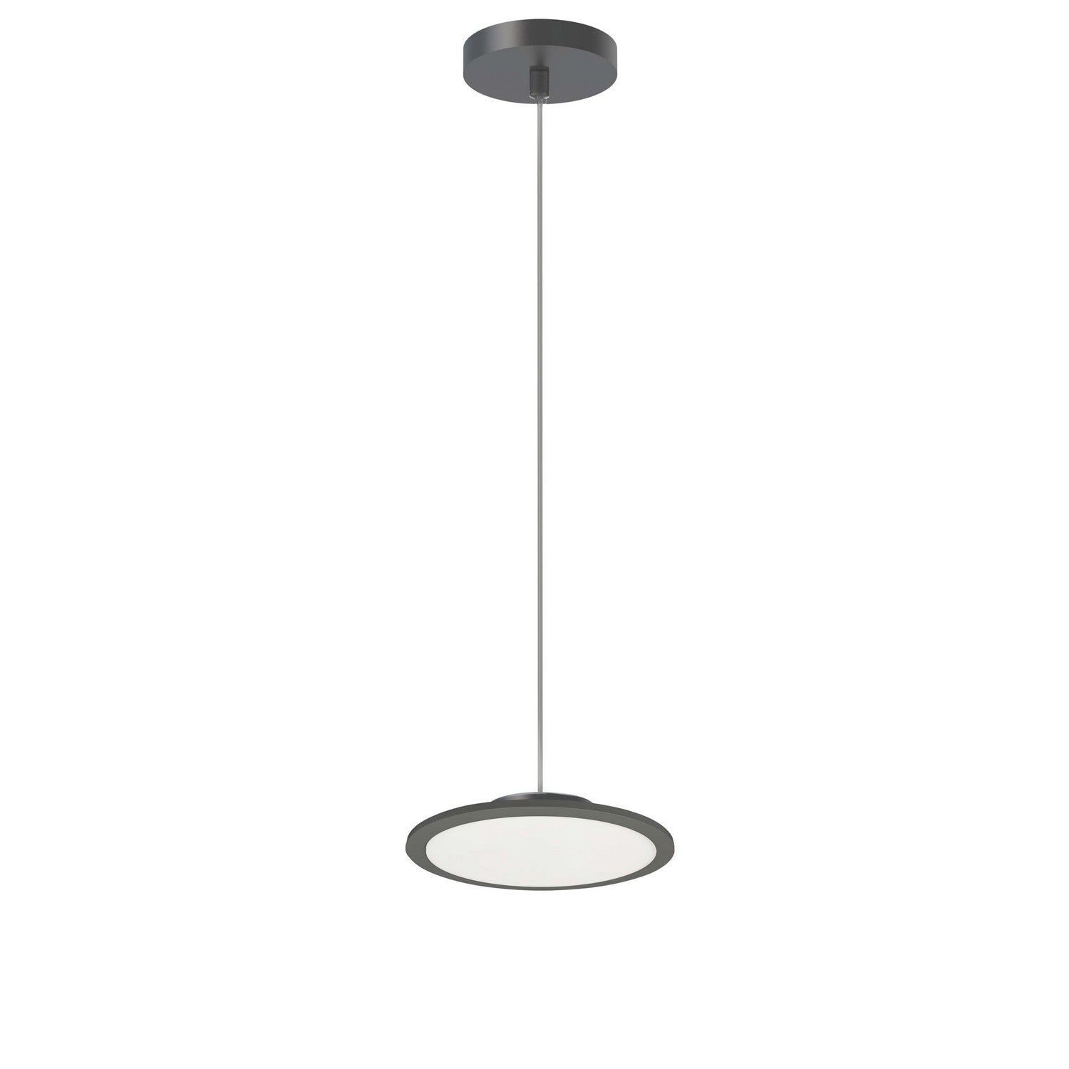 Suspension DEL | Franchesa