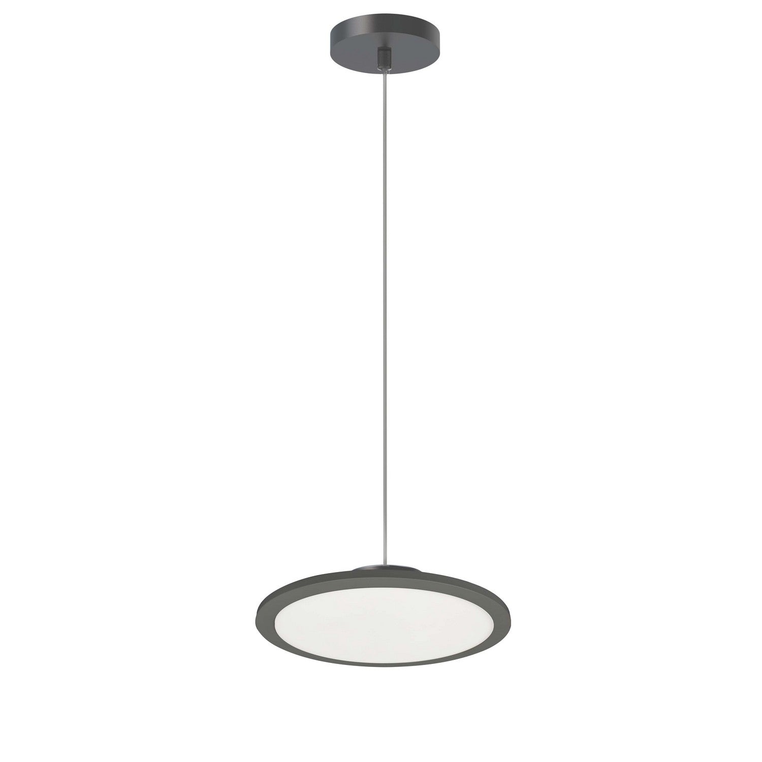 Suspension DEL | Franchesa