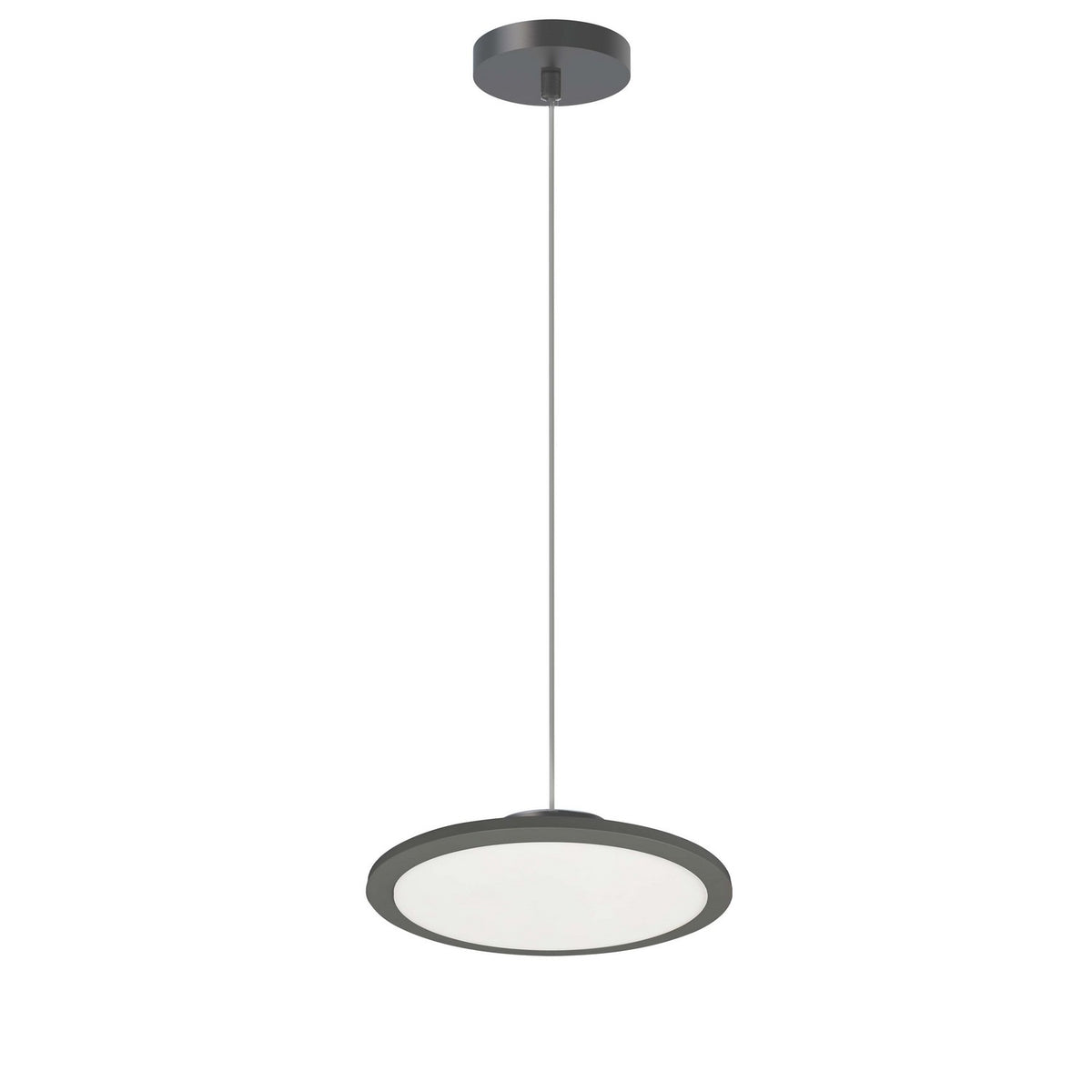 Suspension DEL | Franchesa