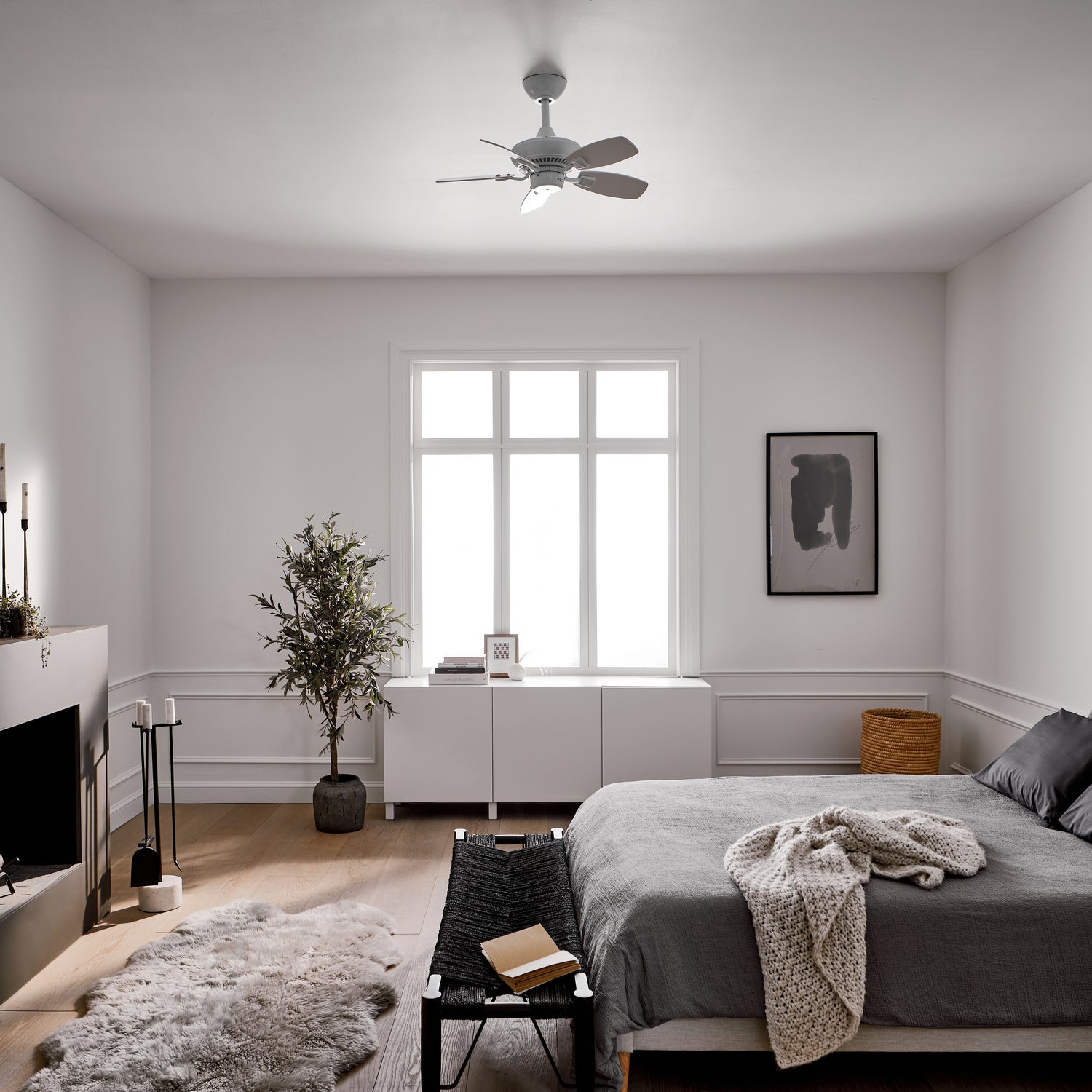 Ventilateur de plafond 30 po | Canfield