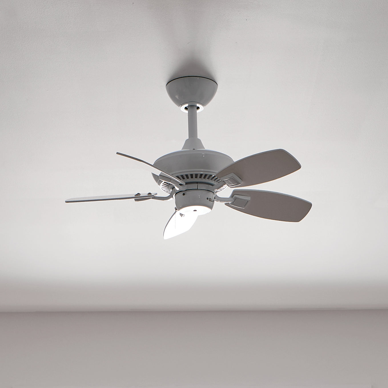 Ventilateur de plafond 30 po | Canfield