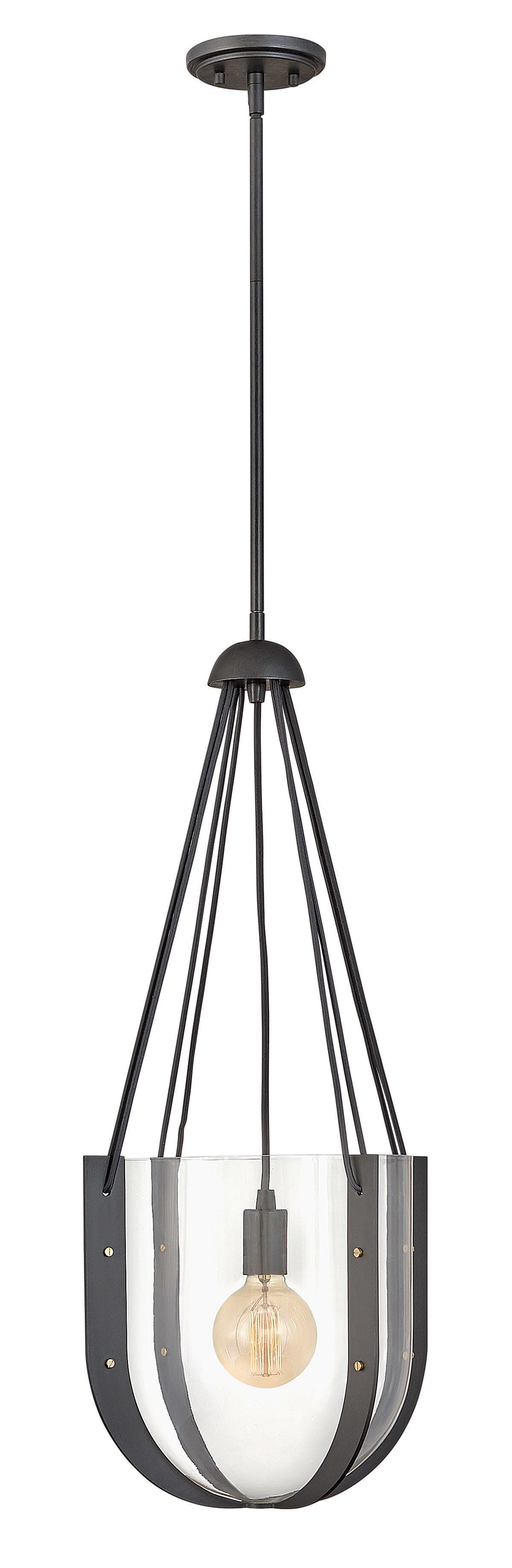 VASO Suspension Graphite - 33204BGR | HINKLEY