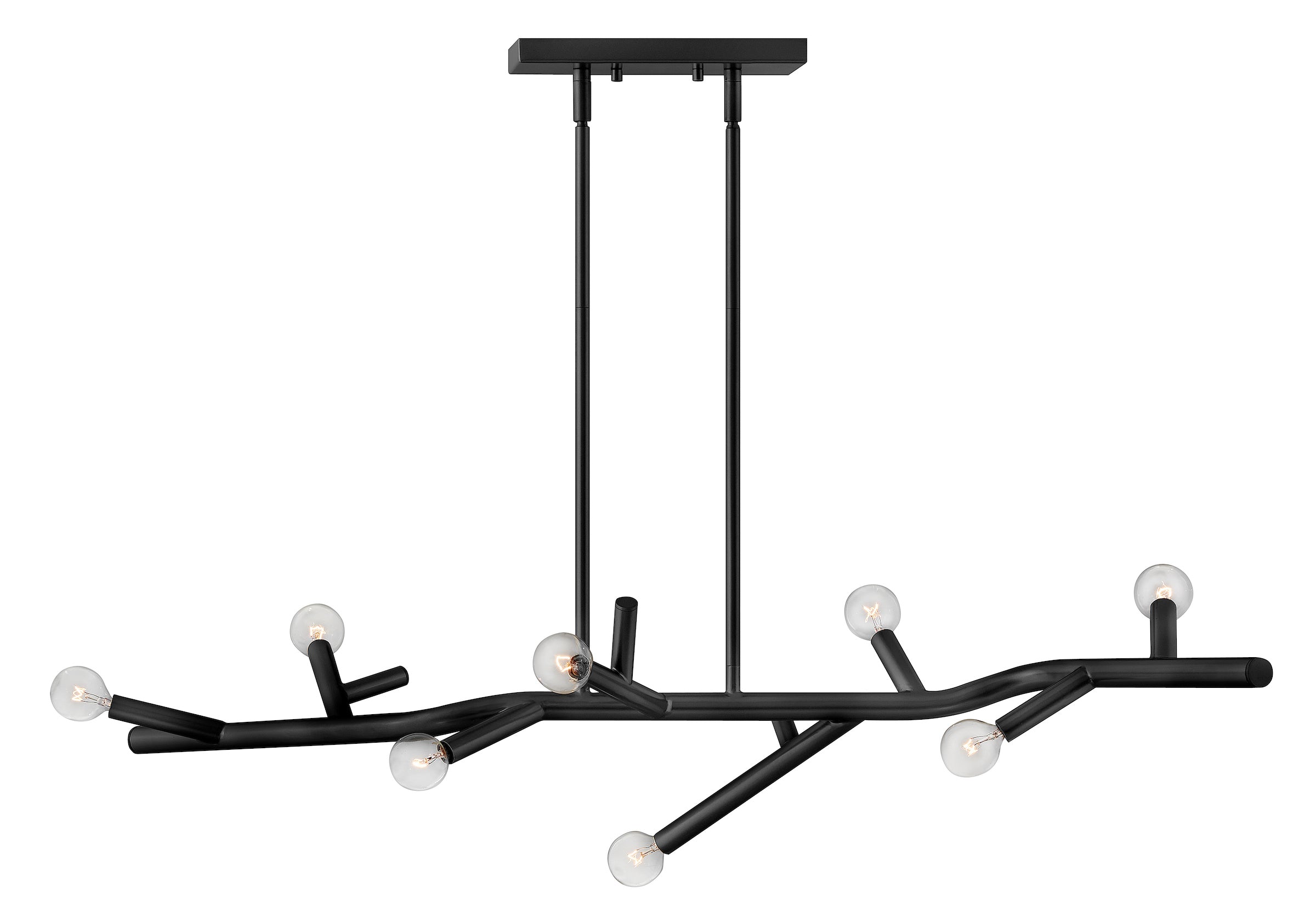 TWIGGY Plafonnier Noir - 37095BK | HINKLEY