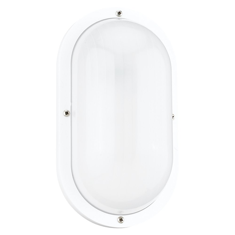 Lanterne murale extérieure 1 lumière | Bayside