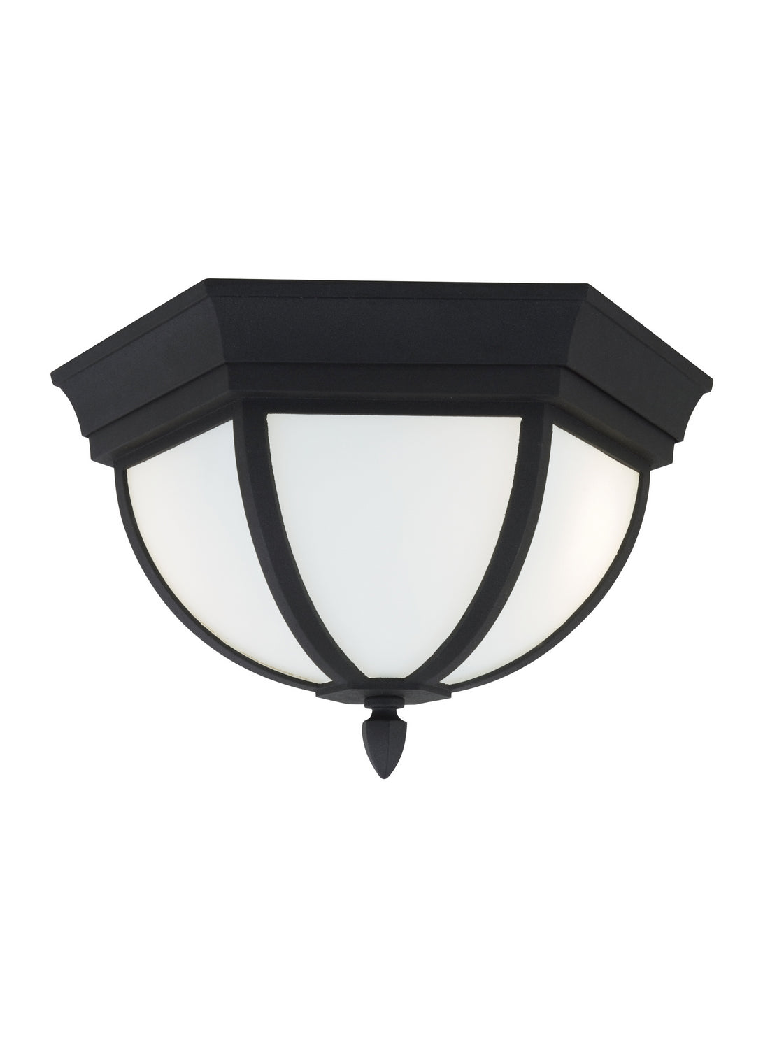 Plafonnier extérieur 2 lumières | Wynfield