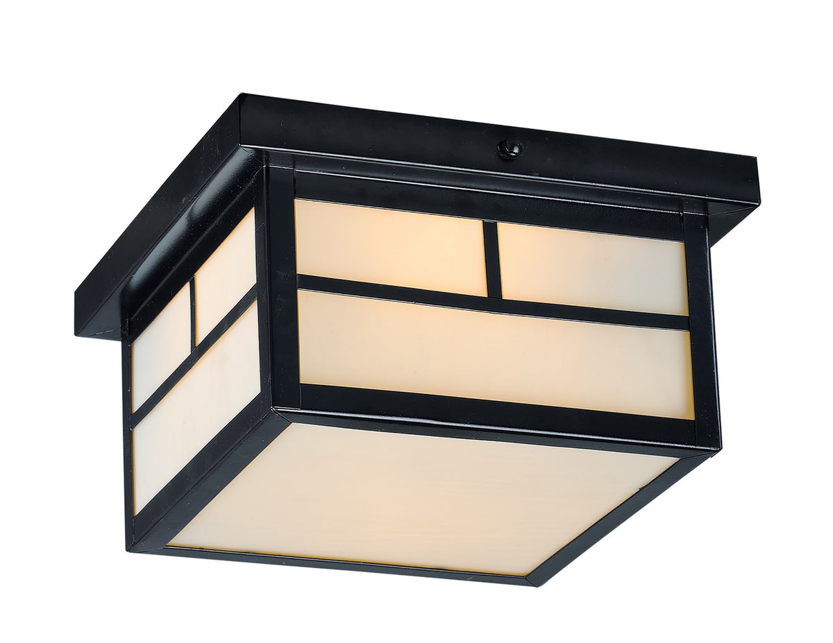 Maxim - Plafonnier extérieur 2 lumières | Coldwater - 4059WTBK