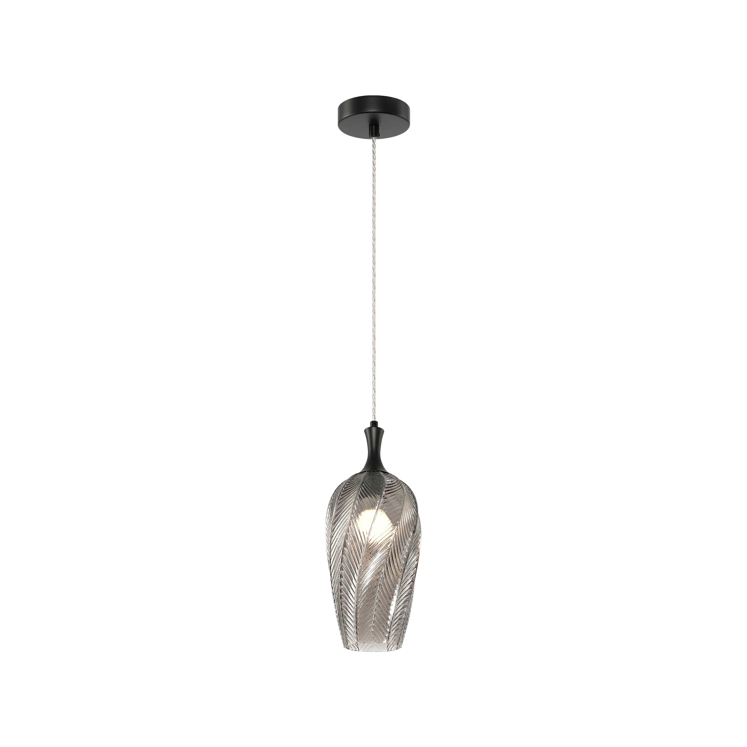 Luminaire suspendu Noir mat | EESHA