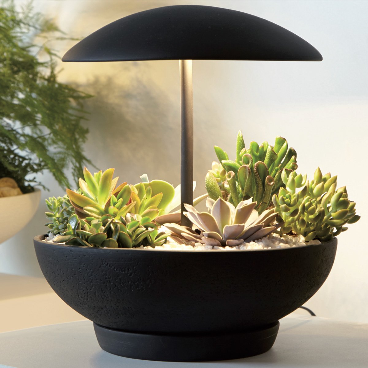 Lampe de table DEL | Garden I