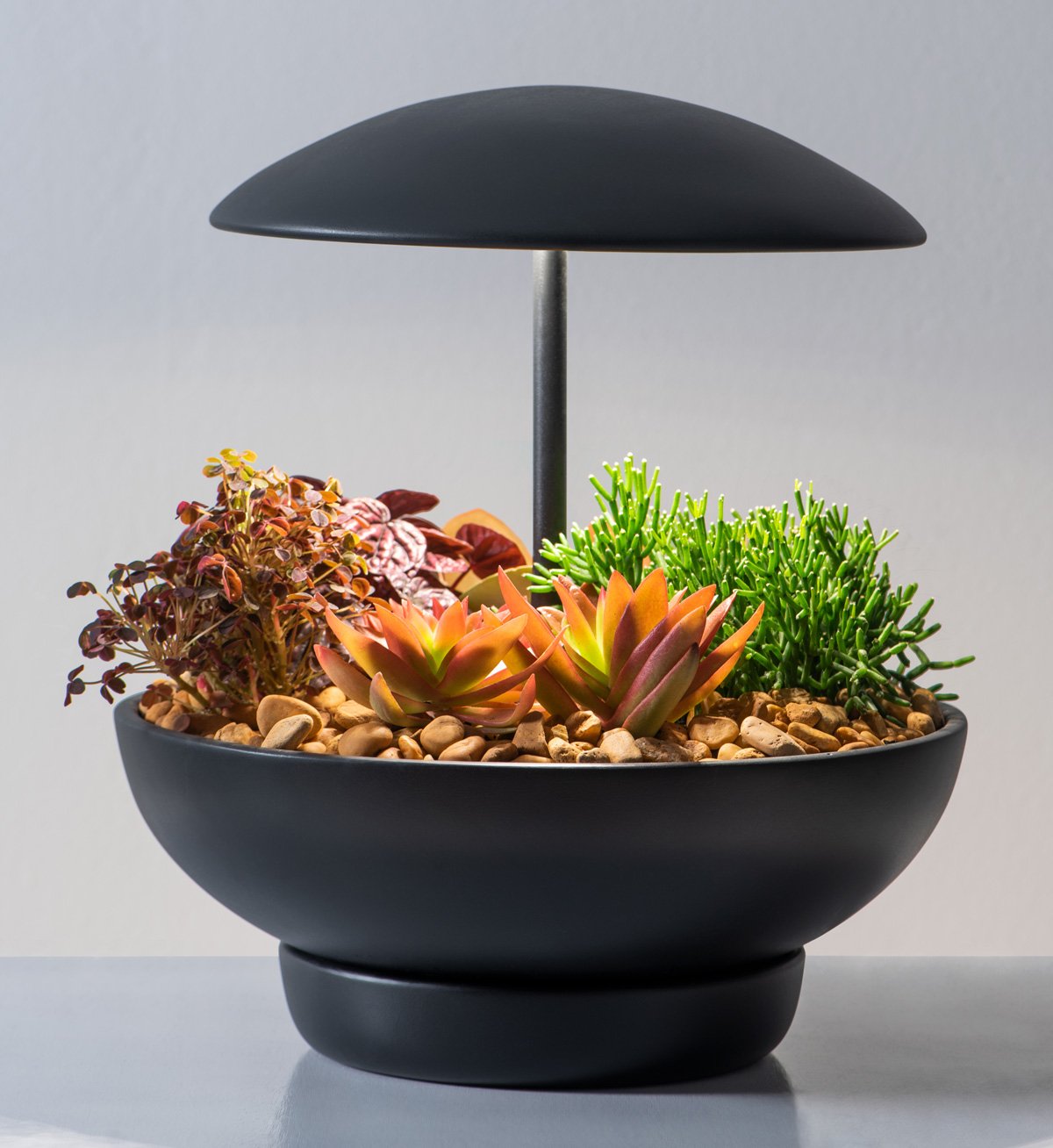 Lampe de table DEL | Garden I